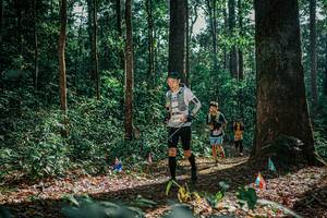 BIB: 
                            <button type="button" onclick="openModal(26080937)" class="btn btn-primary btn-sm float-right btn-popup" data-toggle="modal" data-target=".modal-high-quality">
                        <i class="fas fa-shopping-cart"></i> Add to Cart
                    </button>
                                            <button type="button" onclick="isThisMe(26080937, true)" class="btn btn-success btn-sm float-right btn-popup btn-isme hidden" data-toggle="tooltip" data-placement="bottom" title="นี่คือรูปของคุณใช่ไหม คลิกที่นี่เพื่อเอาเข้าอัลบั้ม">
                        <i class="fas fa-plus"></i> Add to album
                    </button>
                    <button type="button" onclick="isThisMe(26080937, false)" class="btn btn-warning btn-sm float-right btn-popup btn-isnotme hidden">
                        <i class="fas fa-ban"></i> Remove from album
                    </button>